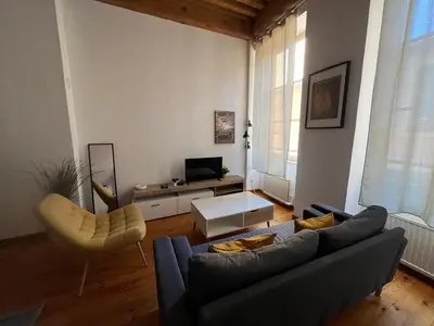 Télévision ou salle de divertissement dans l'établissement Bel appartement rénové - Lyon 3ème