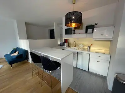 Cuisine ou kitchenette dans l'établissement Studio moderne et lumineux, proche Tete d Or, Lyon