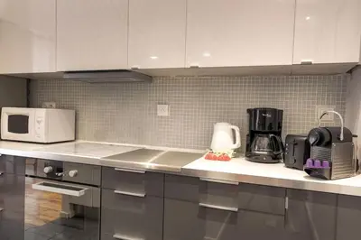 Cuisine ou kitchenette dans l'établissement Bel appartement spacieux, climatisé - Lyon centre