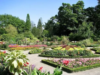 Jardin de l'établissement Super appartement idéalement situé, Lyon 6eme