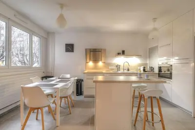 Cuisine ou kitchenette dans l'établissement Appartement spacieux et moderne, Lyon 6ème
