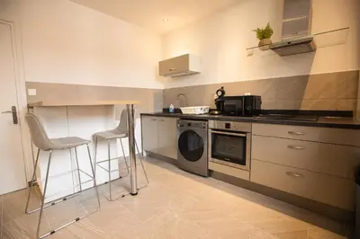 Cuisine ou kitchenette dans l'établissement Écrin Moderne