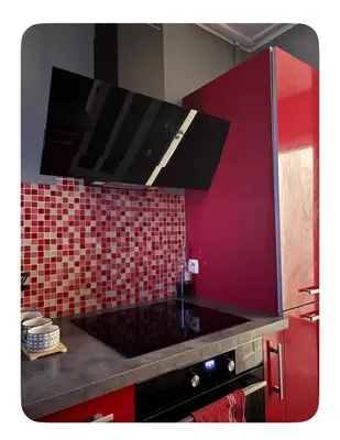 Cuisine ou kitchenette dans l'établissement Grand Appartement Cosy au cœur de Lyon 9
