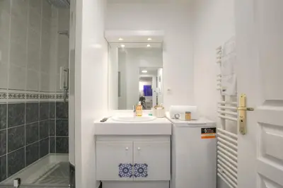 Salle de bains dans l'établissement Superbe appartement avec jardin proche Lyon 3ème