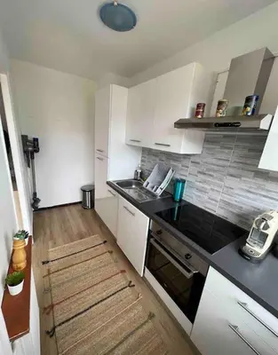 Cuisine ou kitchenette dans l'établissement Bron confort lumineux proche eurexpo, hôpitaux