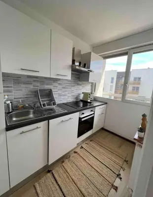 Cuisine ou kitchenette dans l'établissement Bron confort lumineux proche eurexpo, hôpitaux