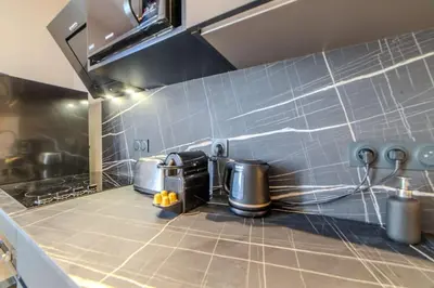 Cuisine ou kitchenette dans l'établissement Le Charmant d'Ecully Logement Unique Avec Jardin et Parking à 10 minutes de Lyon
