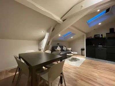 Cuisine ou kitchenette dans l'établissement Cocon sous le toit, 6 personnes, Villeurbanne