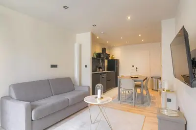 Télévision ou salle de divertissement dans l'établissement T3 spacieux en duplex, 2 chambres, Villeurbanne