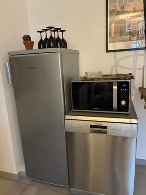 Cuisine ou kitchenette dans l'établissement Un balcon à Monplaisir- 4 lits -garage - 47m2