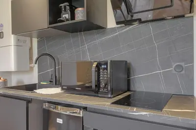 Cuisine ou kitchenette dans l'établissement Joli T1 pour 4, Champagne, Monts d'Or, Lyon