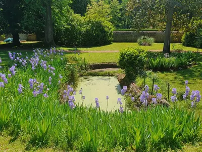 Jardin de l'établissement DOMAINE DES FRANCHISES - Beaujolais Village - Charme et authenticité au cœur des Pierres dorées
