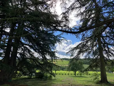 Paysage naturel près de l'appartement