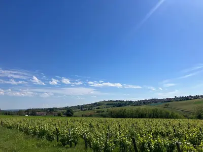 Paysage naturel près de l'appartement