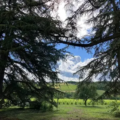 Gîte Les Cèdres
