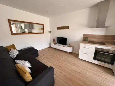 Cuisine ou kitchenette dans l'établissement Appartement LYS aéroport, Eurexpo, Groupama stadium, Arena LDLC