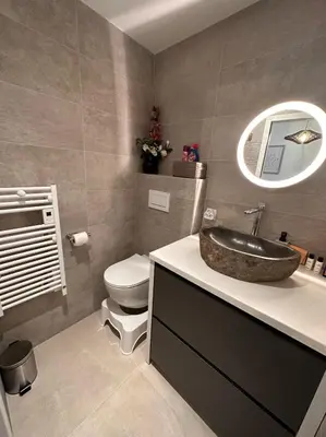 Salle de bains dans l'établissement Appartement LYS aéroport, Eurexpo, Groupama stadium, Arena LDLC