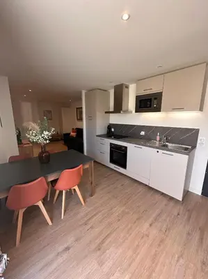 Cuisine ou kitchenette dans l'établissement Appartement ROSE, Aéroport ST EXUPERY, Groupama stadium, Eurexpo, LDLC Arena