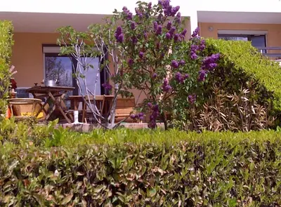 Jardin de l'établissement Appartement en Rez de jardin climatisée 2 pièces-cuisine avec terrasse et jardin