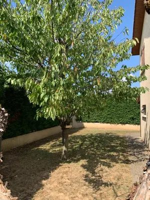 Jardin de l'établissement Studio calme avec Parking accès rapide Eurexpo Le Chasseland