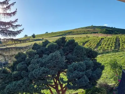 Paysage naturel près de la maison d'hôtes