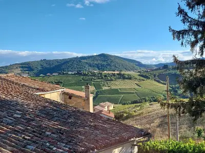 Paysage naturel près de la maison d'hôtes
