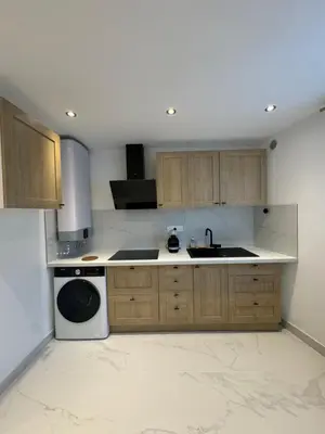 Cuisine ou kitchenette dans l'établissement Appartement Dauphiné - près de la Gare