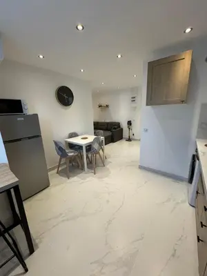 Cuisine ou kitchenette dans l'établissement Appartement Dauphiné - près de la Gare