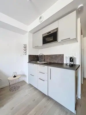 Cuisine ou kitchenette dans l'établissement Studio paisible - métro Oullins centre