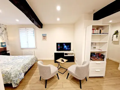 Télévision ou salle de divertissement dans l'établissement Studio Calme & Connecté Près de Lyon