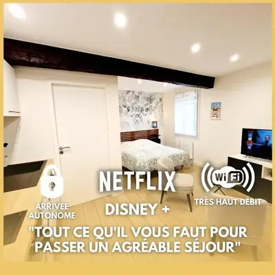 Studio Calme & Connecté Près de Lyon