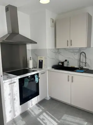 Cuisine ou kitchenette dans l'établissement Appartement T3 Lyon centre
