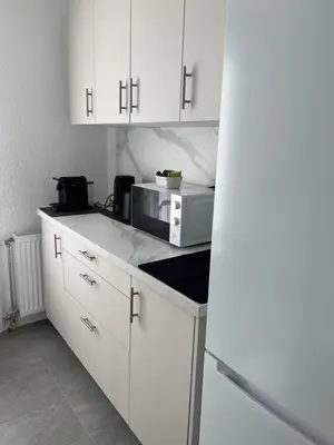 Cuisine ou kitchenette dans l'établissement Appartement T3 Lyon centre
