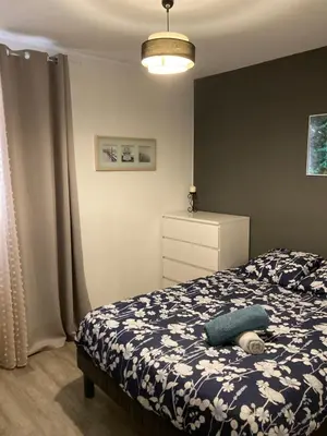 Un ou plusieurs lits dans un hébergement de l'établissement Logement entier - 2 Chambres - Parking privé - 15 min Lyon et Aéroport