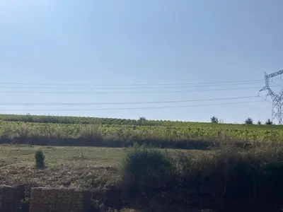 Paysage naturel près de la maison de vacances