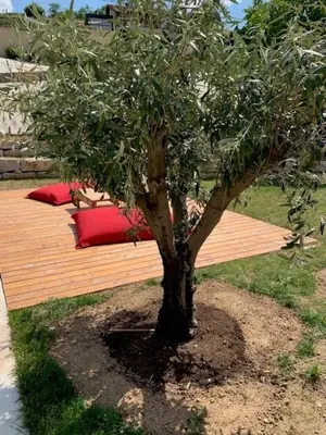 Jardin de l'établissement Belle villa proche de Lyon dans le Beaujolais