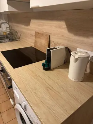 Cuisine ou kitchenette dans l'établissement Le Zola parking - Groupama stadium-LDLC Arena-Eurexpo