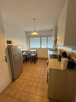 Cuisine ou kitchenette dans l'établissement Le Zola parking - Groupama stadium-LDLC Arena-Eurexpo