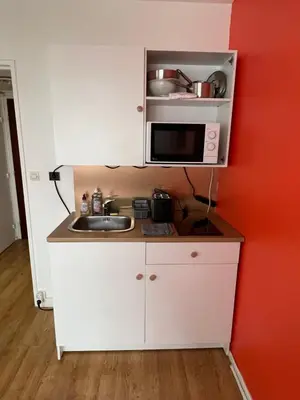 Cuisine ou kitchenette dans l'établissement Adorable studio Équipé plein centre proche Foch