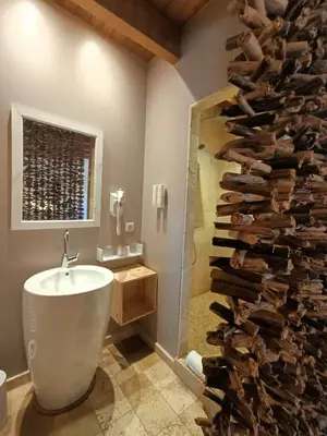 Salle de bains dans l'établissement Les Chambres De La Renaissance