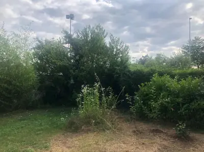 Paysage naturel près de l'appartement