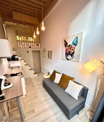 Cuisine ou kitchenette dans l'établissement Appartement Canut Lyon Croix-Rousse