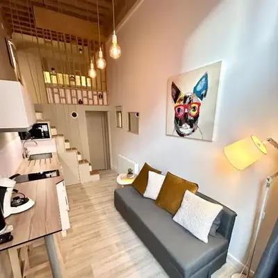Appartement Canut Lyon Croix-Rousse