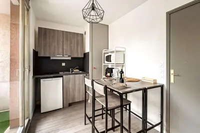 Cuisine ou kitchenette dans l'établissement apartment ideal location for Lyon Center