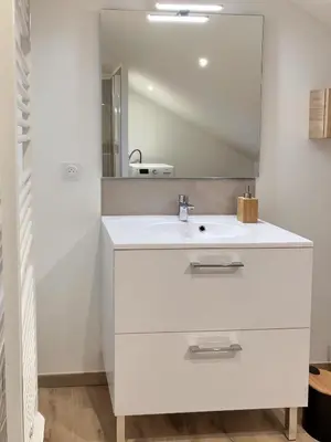 Salle de bains dans l'établissement Appartement spacieux et lumineux proche gare
