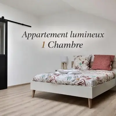 Appartement spacieux et lumineux proche gare