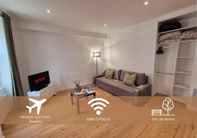Télévision ou salle de divertissement dans l'établissement Studio Moderne et Cosy à Miribel