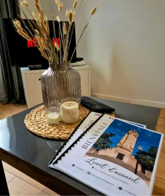 Plan de l'établissement Studio Moderne et Cosy à Miribel