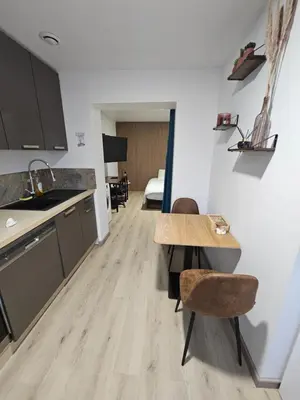 Cuisine ou kitchenette dans l'établissement Appartement Type 1 avec parking
