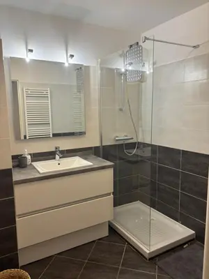 Salle de bains dans l'établissement Chez Omiala Centre de Meyzieu